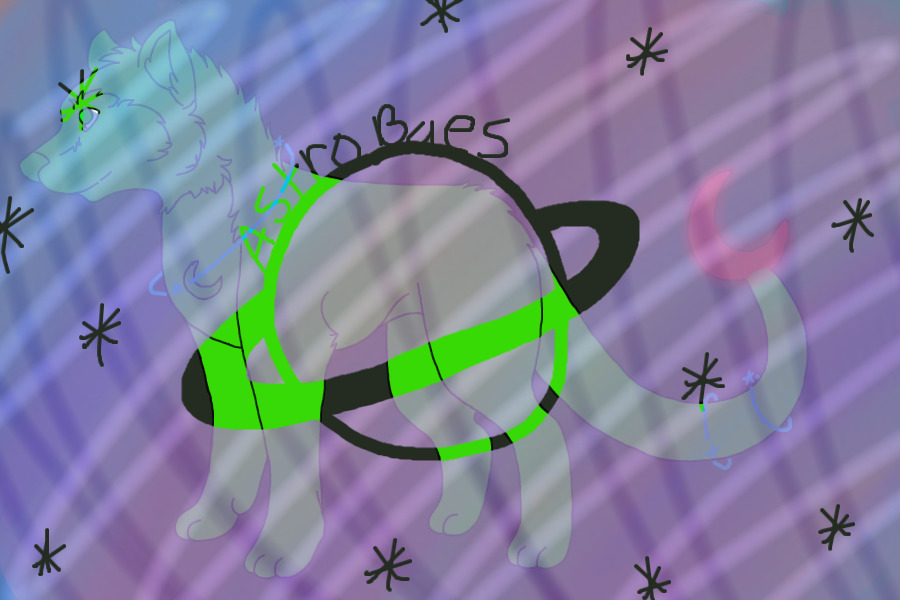 Astrobaes - New species