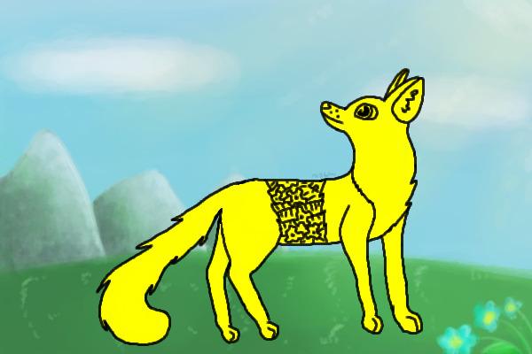 My entry