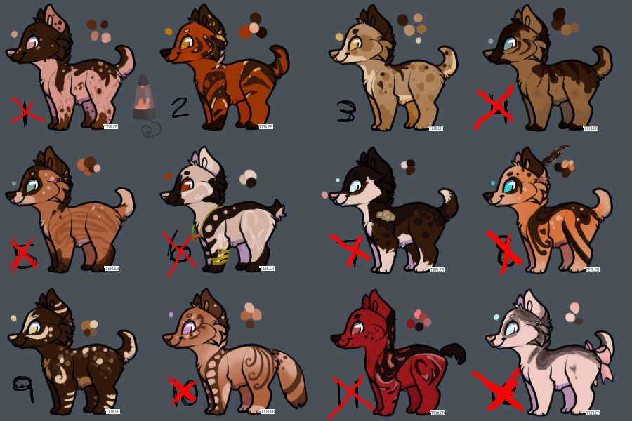 Chocolate designs for sale!