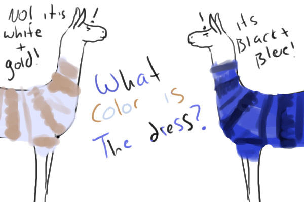 What color is the dress?