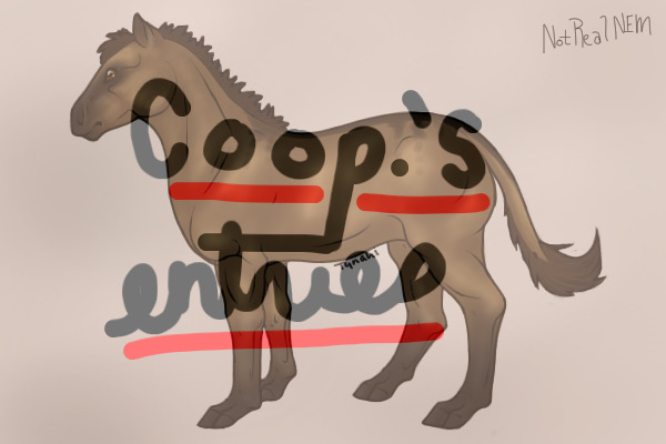 cooper.'s entries