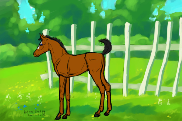Arabian Foal #39