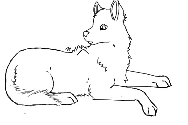 Wolf