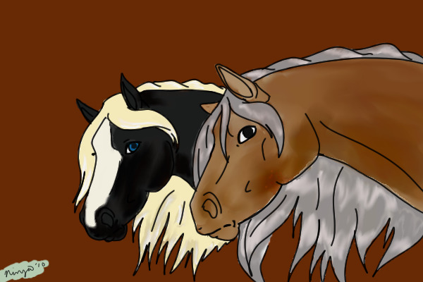 horse cuple