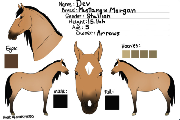 Mystery Foal Ref - Dunskin