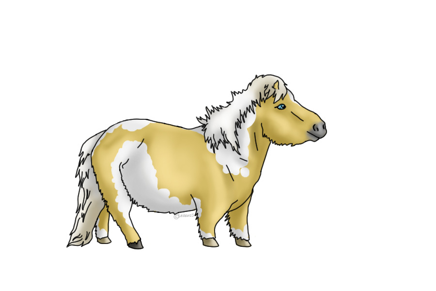 Fluffy Pony c: