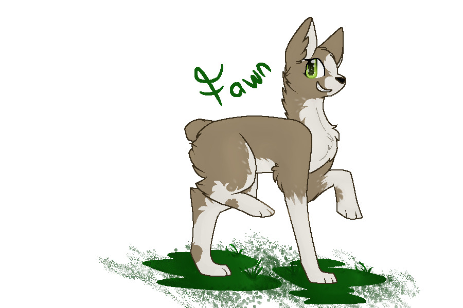 Fawn   :CO:  [part 1 of the 14 ordered]