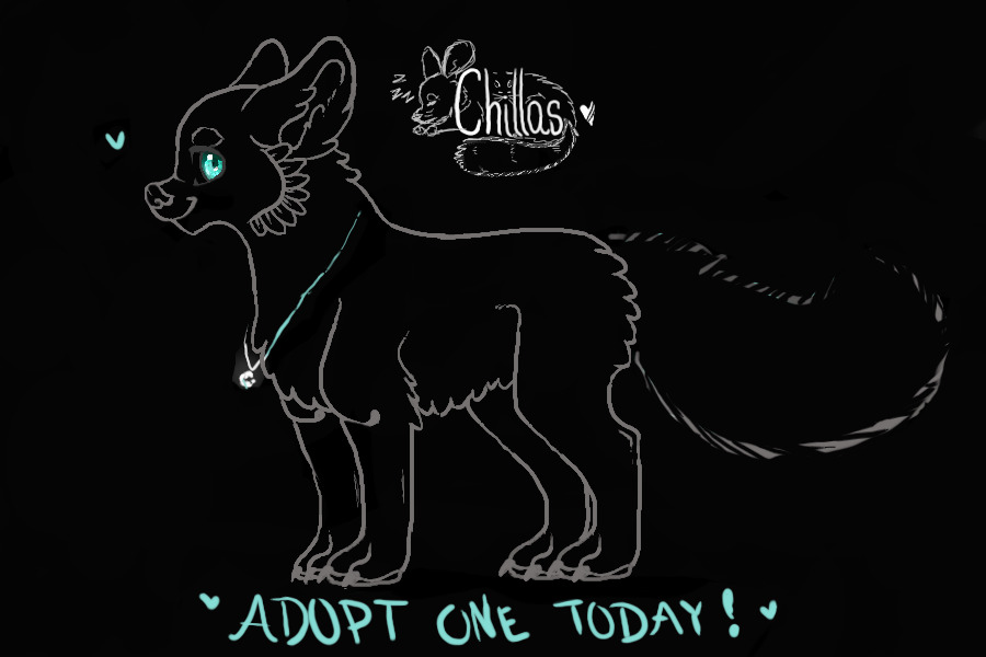 chillas♥ SPECIES AUCTION - NEED A NEW OWNER!