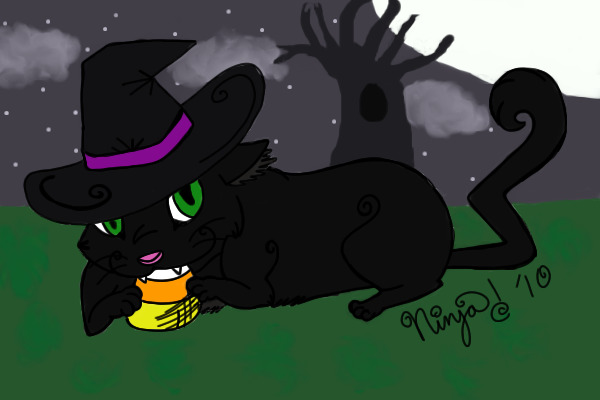 Black Cat in the Moonlight