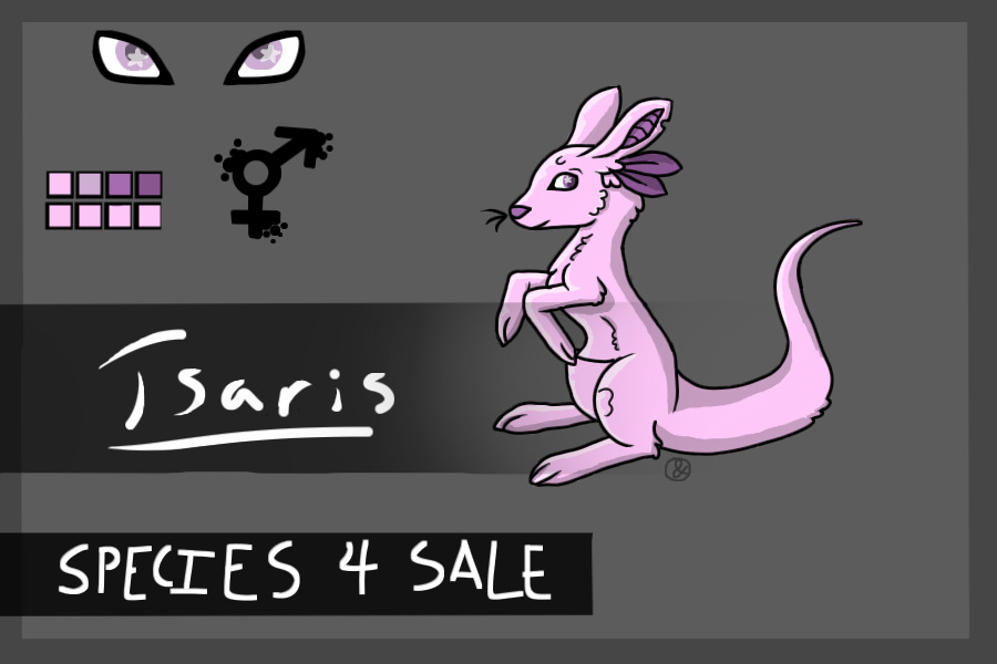 Tsaris Species 4 Sale
