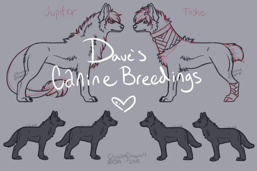 Dave's Canine Breedings!