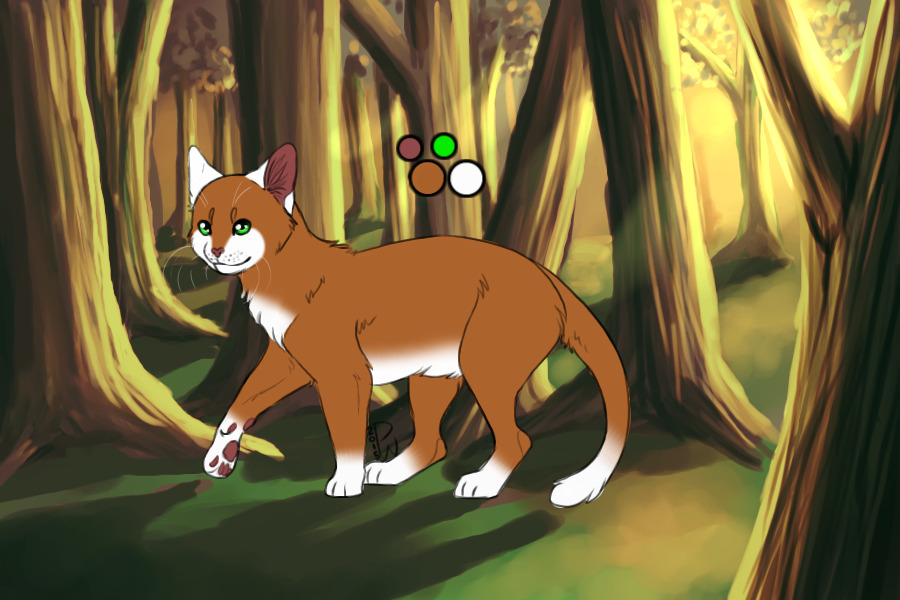 Kitten #6