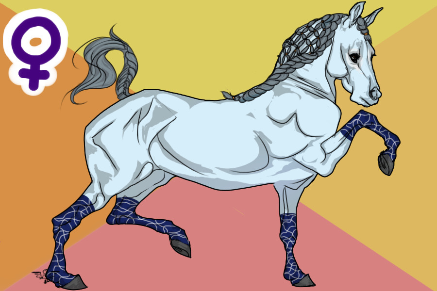 VH #8 - Horse.Crazy - Angel