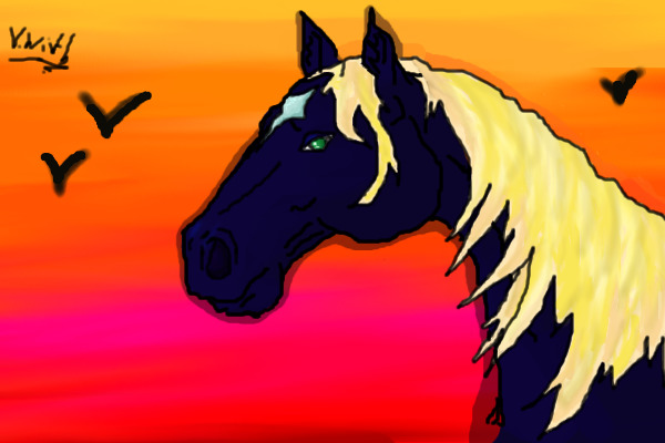 sunset stallion