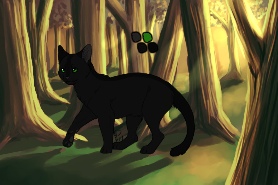 Hogwarts Is My Home: Kitten #2