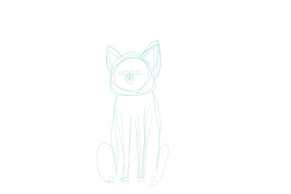 Practicing Anatomy
