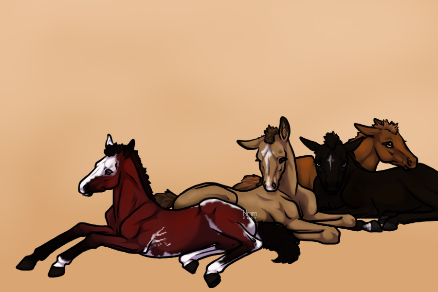 Four Foals