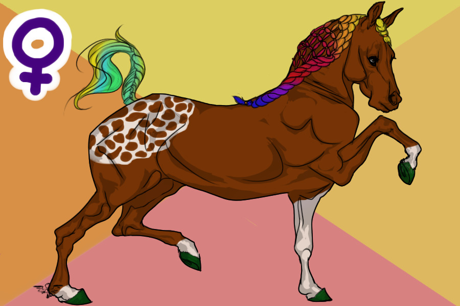 VH #19 - Horse.Crazy - Rainbow Princess