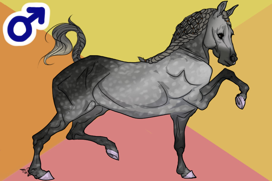 VH #20 - Horse.Crazy - Moonlight