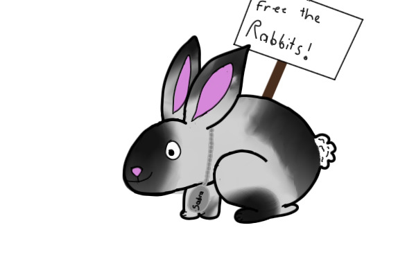 FREE THE RABBITS