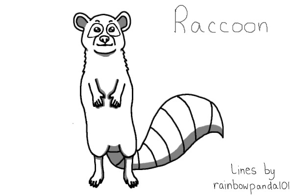 Raccoon Lineart