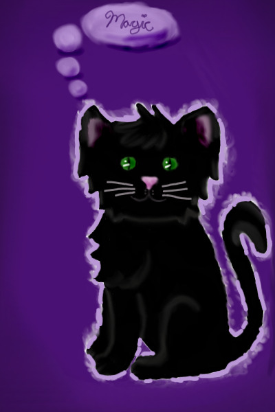 ~*Black Cat*~