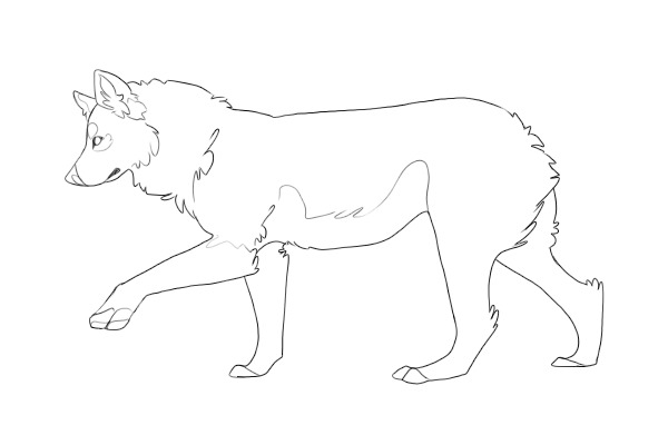 short & stocky