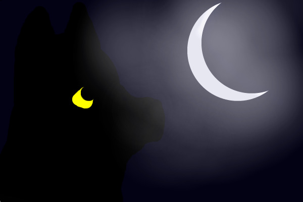 The wolf and the moon