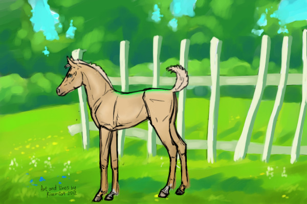 Drew as a foal