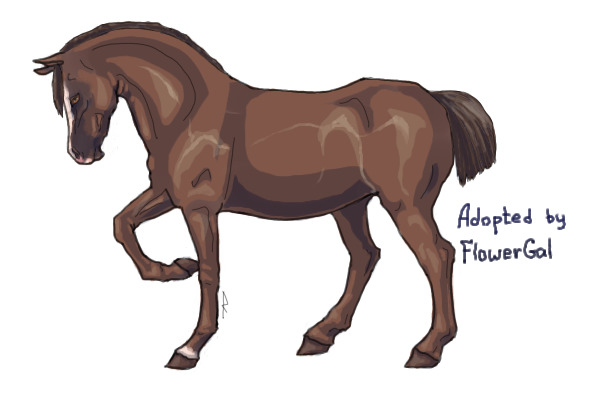 Brown with white spot.