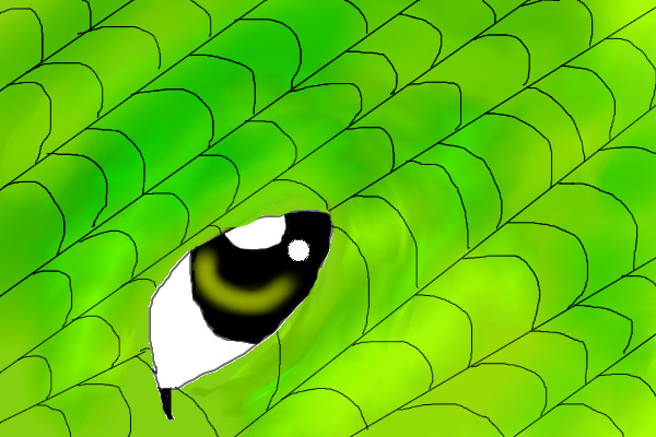 A Dragon's eye