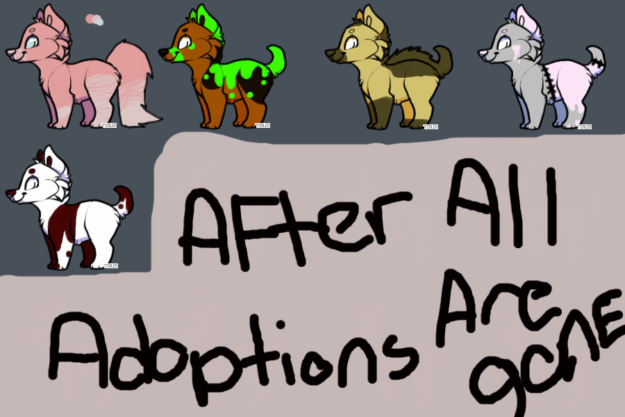 //Dog Adoptions - open