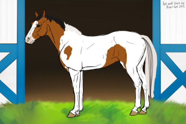 BES Import #1: Bay Tobiano APH