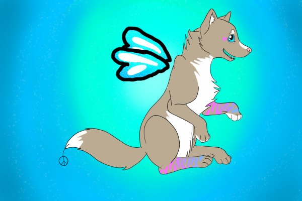contest entry