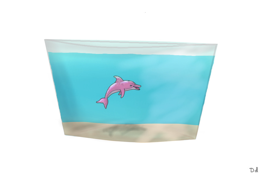 Pink Dolphin!!!