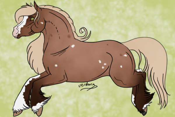 Red Roan with birdcatcherspots; Unshaded