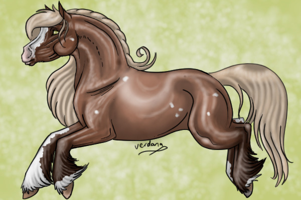 Red Roan with birdcatcherspots; Shaded