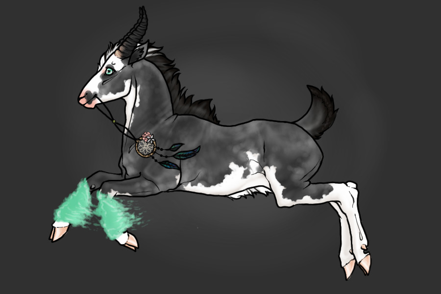 Entry 1 - Grey Sabino