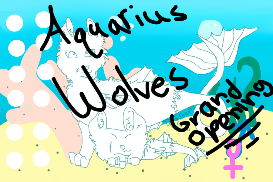 Aquarius Wolves - Grand Opening!