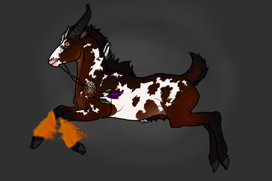 Entry 5 - Brown Overo
