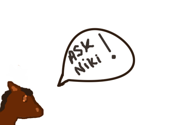 Ask Niki Anything!