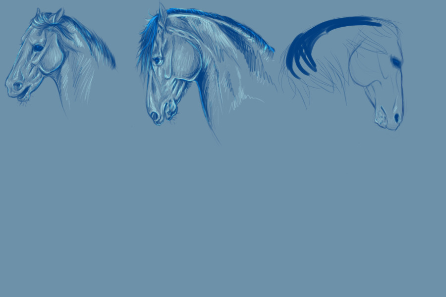 horsies sketches