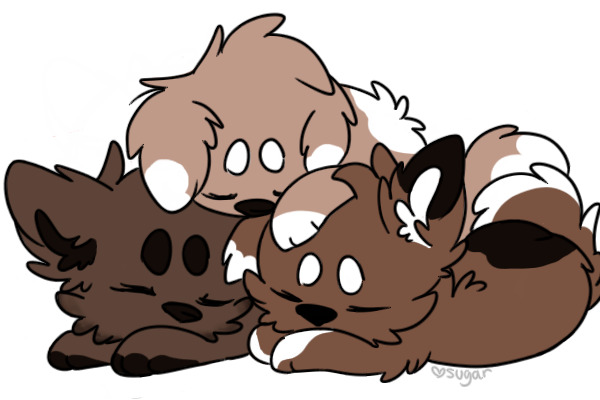Choco pups