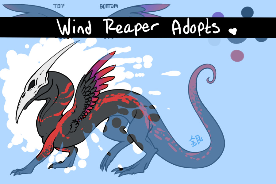 Wind Reaper Adopts -AUCTIONING THEM OFF