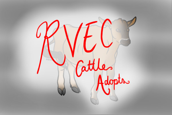 Redwood Valley Equestrian Centre - Cattle Adopts