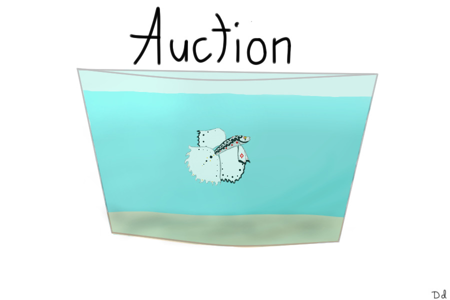 Betta Fish Auction!!!