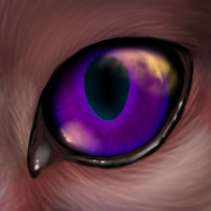 Dolxa's Eye
