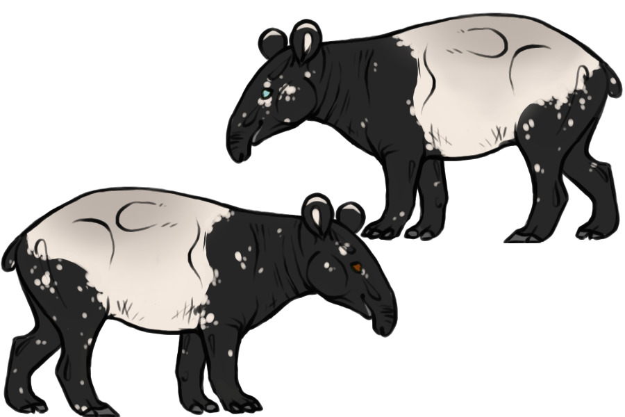 some tapir wips