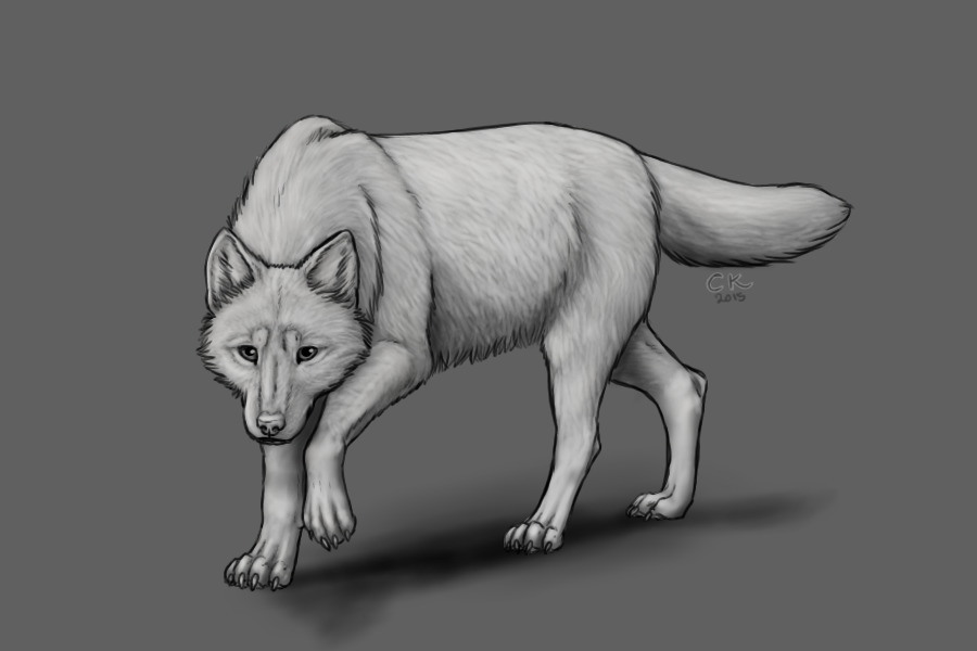 Lurking wolf linart with light and shading