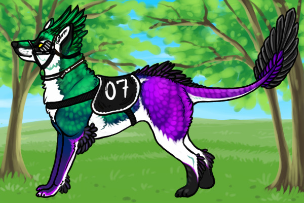 Kietta #7 - Custom